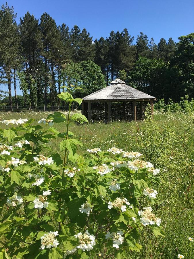 Hollicarrs - Wildflower Lodge Γιορκ Εξωτερικό φωτογραφία