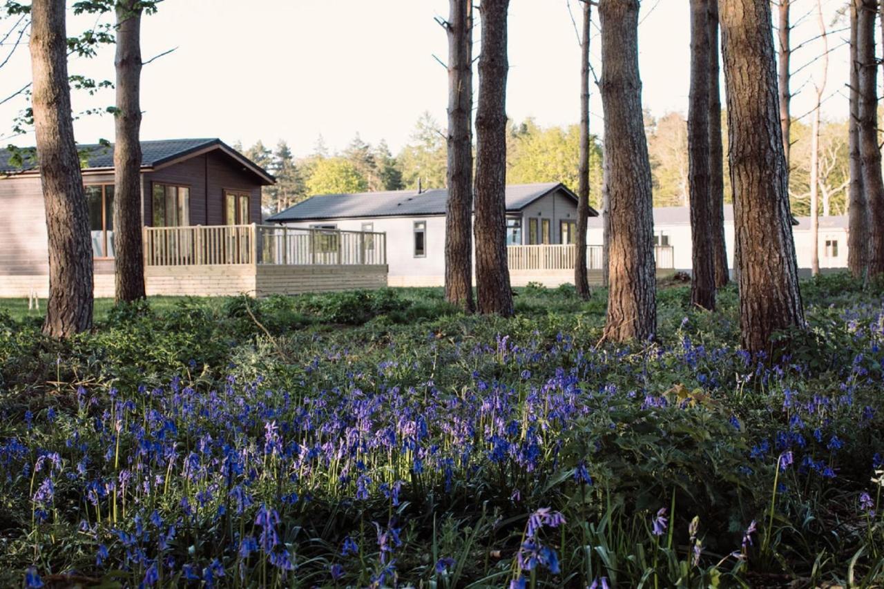 Hollicarrs - Wildflower Lodge Γιορκ Εξωτερικό φωτογραφία
